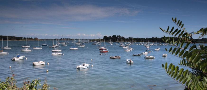 La Ferme Du Vincin Bed & Breakfast Vannes Luaran gambar